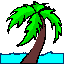 Florida Palm